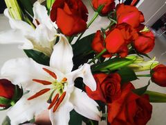 -循礼门鲜花花市(武汉循礼门店)