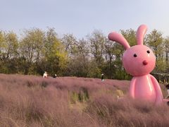 -沈阳植物园