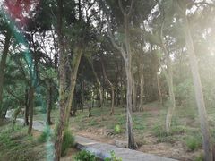 -宋井风景区