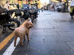 -桂香村(护国寺店)