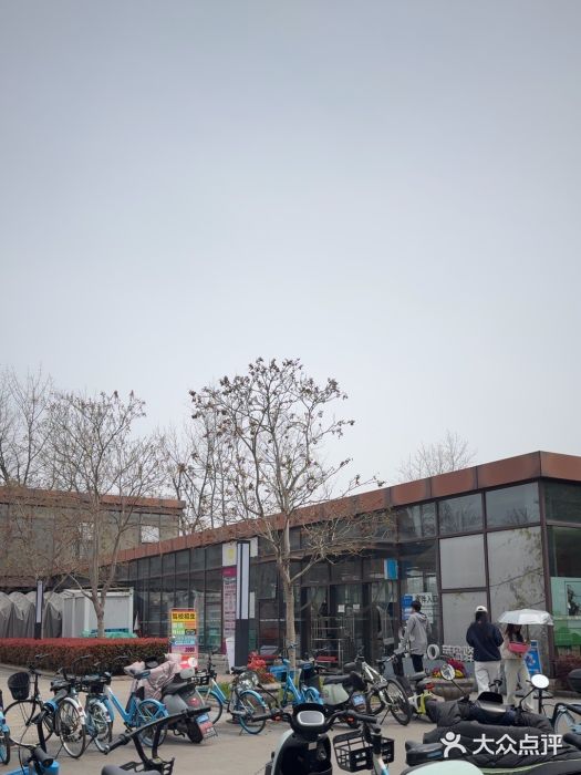 上海交通大学(闵行校区)图片