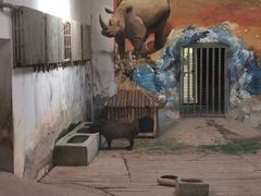 -石家庄市动物园