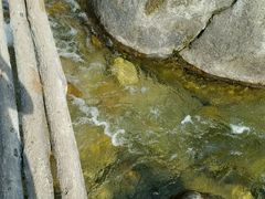 -黑河国家森林公园