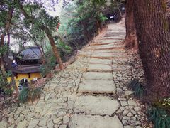 -千岛湖东南湖区