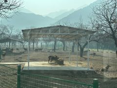 -西安秦岭野生动物园