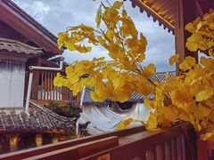 -民食香·腊排骨野生菌美食(木府店)