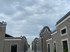 -王借岗森林公园