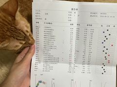 -爱侣宠医·鹦鹉专科·小型哺乳类·异宠专科(灵石路店)