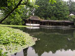 -杭州花家山庄