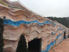 -广东惠东海龟国家级自然保护区