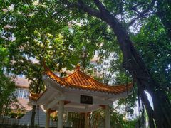 景点-人民公园(罗湖区)