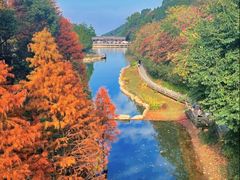 -广州市帽峰山景区