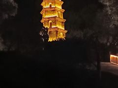 -长兴太湖图影湿地文化园