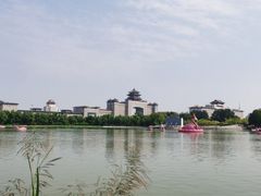 -莲花池公园