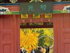 -碑林公园