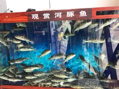 -肆月河豚·新淮扬(金融街店)