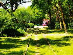 -永定河休闲森林公园