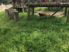 -宁波野生动物园