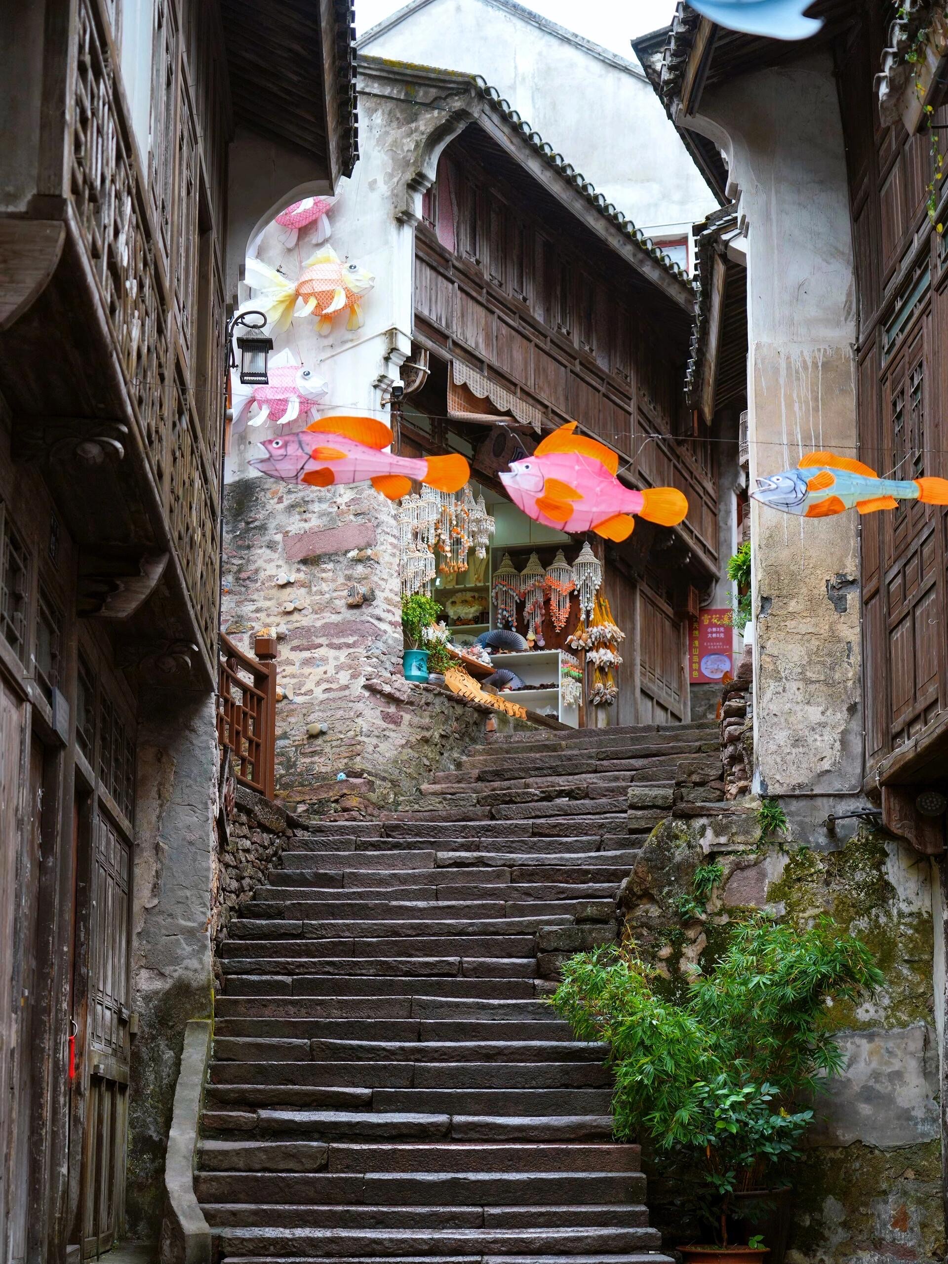 象山涂茨镇旅游景点图片