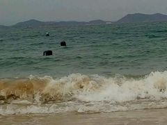 android_upload_pic-海驴岛(荣成市)