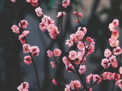 -钟山体育运动公园