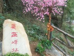 -英西峰林·洞天仙境