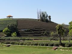 -龙坞茶村