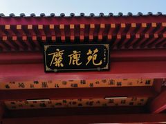 -北京麋鹿生态实验中心