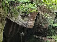 -汤旺河林海奇石景区