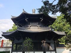 -荔湾湖公园