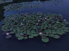 -西湖游船
