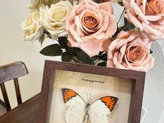 -初甜·舒芙蕾·韩式雪花冰(流塘店)