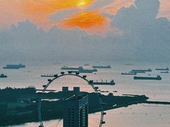 -新加坡瑞士史丹福酒店