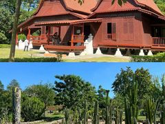 -东莞植物园