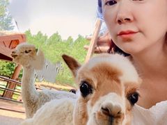 -北戴河集发农业梦想王国
