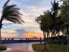 -宝安西湾红树林湿地公园