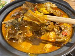 甲鱼牛蛙锅-洪湘记川湘·甲鱼馆(四海凯悦美食广场店)