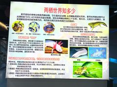 -上海大自然野生昆虫馆(东方明珠·爬宠昆虫探索中心)
