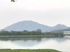 -风云岭森林公园