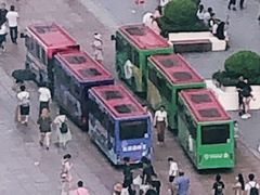 -BUS TOUR观光巴士