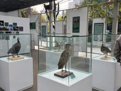 -陕西自然博物馆