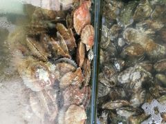 -海岸风情蒸汽海鲜自助餐厅(家宴金手勺店)