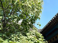-张学良旧居陈列馆
