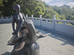 -广东惠东海龟国家级自然保护区