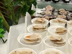 扇贝-金环海鲜自助(大坪时代天街店)