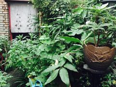 -二楼南书房