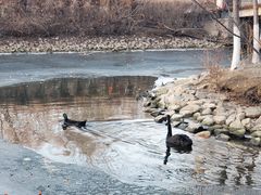 -长白岛森林公园