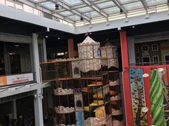 -蒙特利亲子乐园