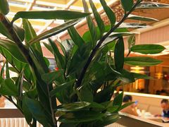 -荷花亭·湖北融合菜(中商广场店)