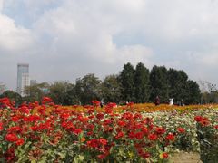 -映月湖中央公园